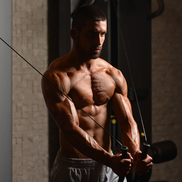 Home Fitness: 6 Essential Chest Exercises for Building Muscle Fast