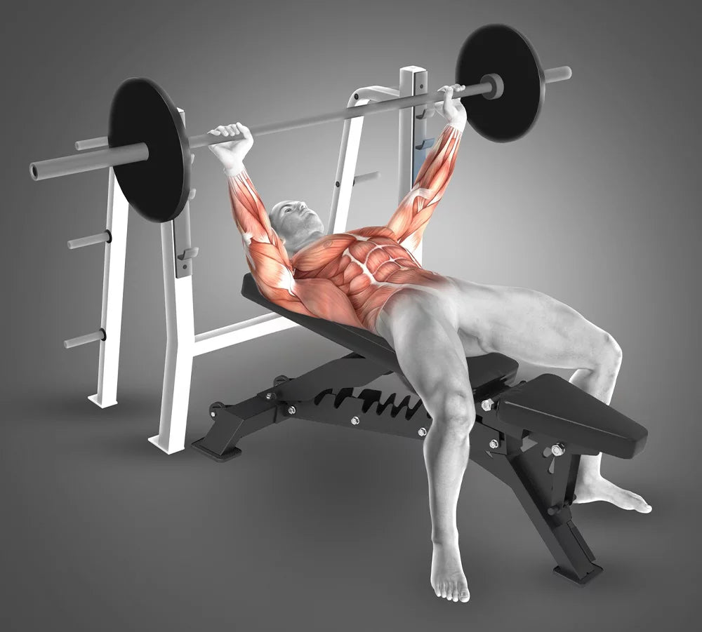 Target adjustable weight bench sale
